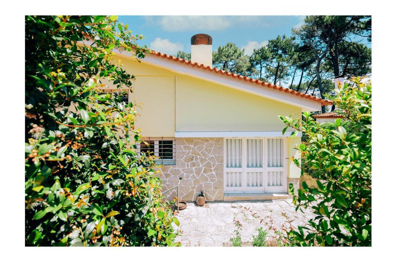 Regina Surf Houses - 2 Villas With Private Pool Viana do Castelo Exterior photo